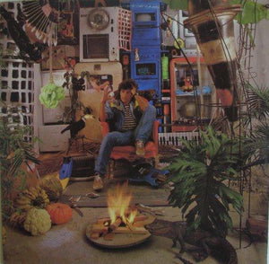 Evandro Mesquita - Evandro (LP)