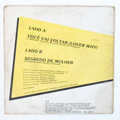 Ovelha - Você Vai Voltar (Lover Why) / Segredo De Mulher (Compacto)