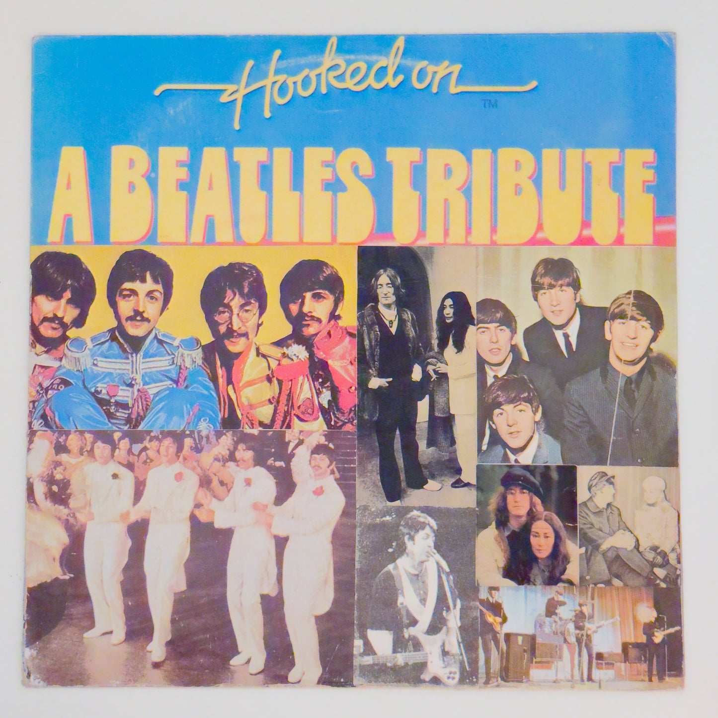 Dr. Fink e The Mystery Band - Hooked On A Beatles Tribute (LP)