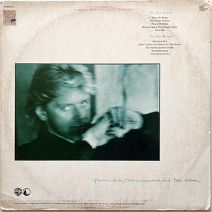 Peter Cetera - One More Story (LP)