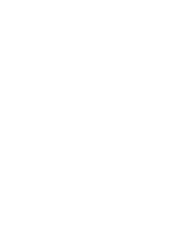 Sebo do Vinil