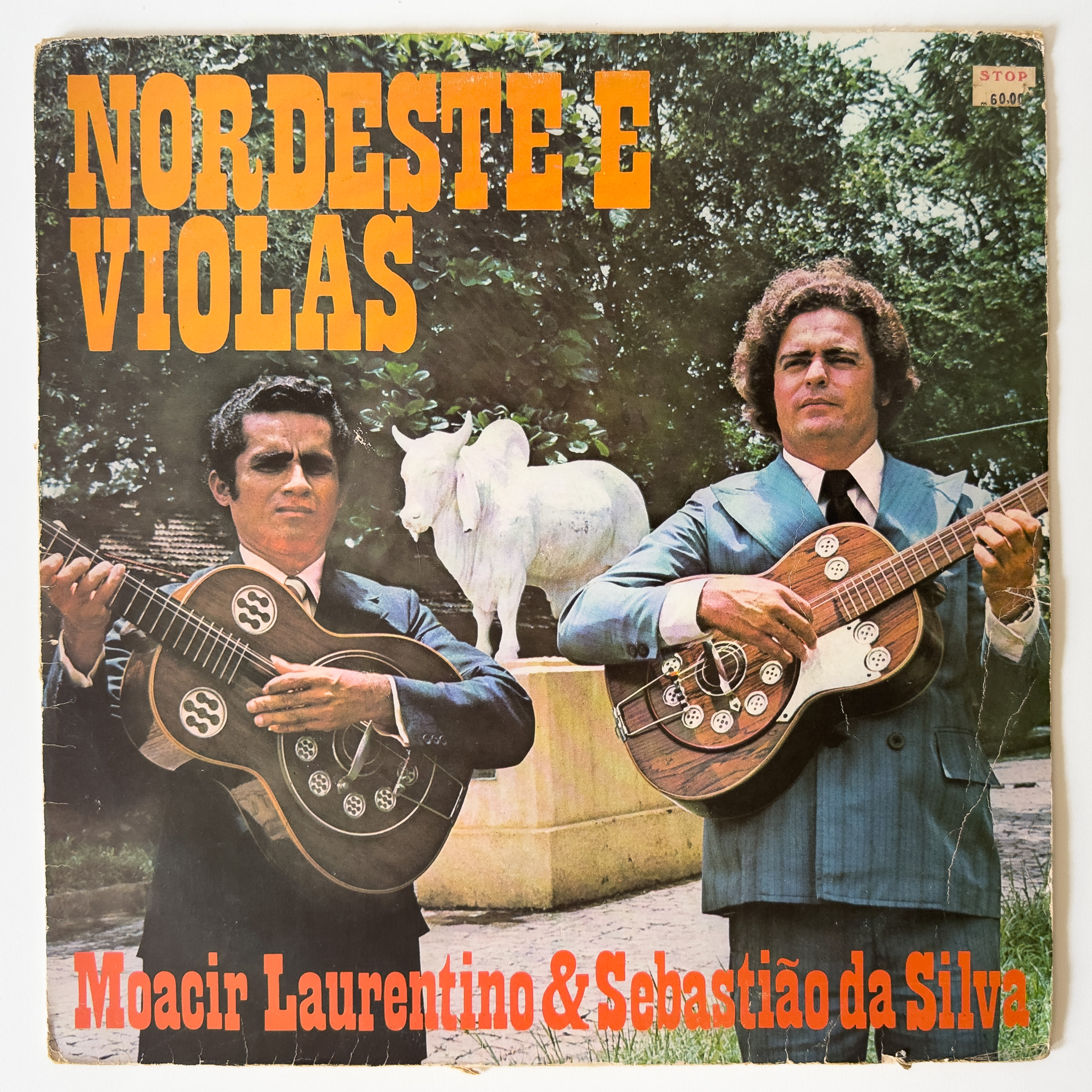 Nordeste E Violas