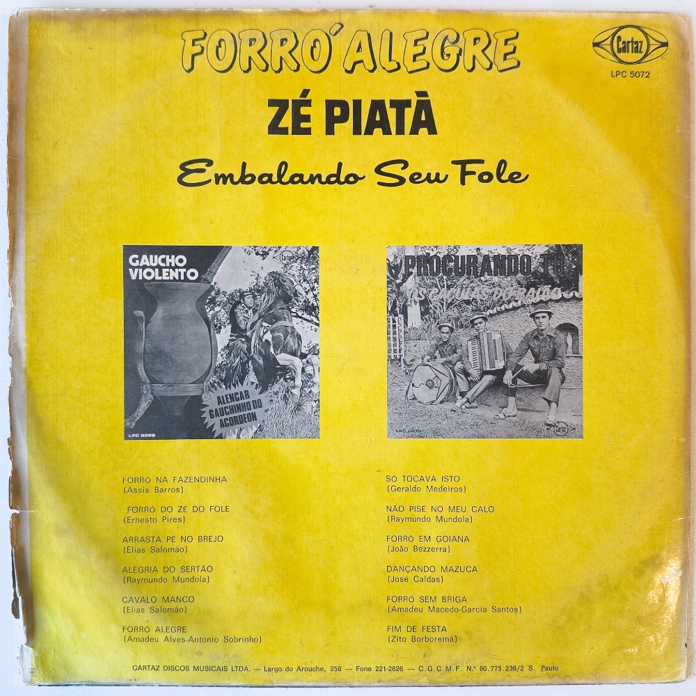 Forró Alegre - Embalando Seu Fole - Imagem 2