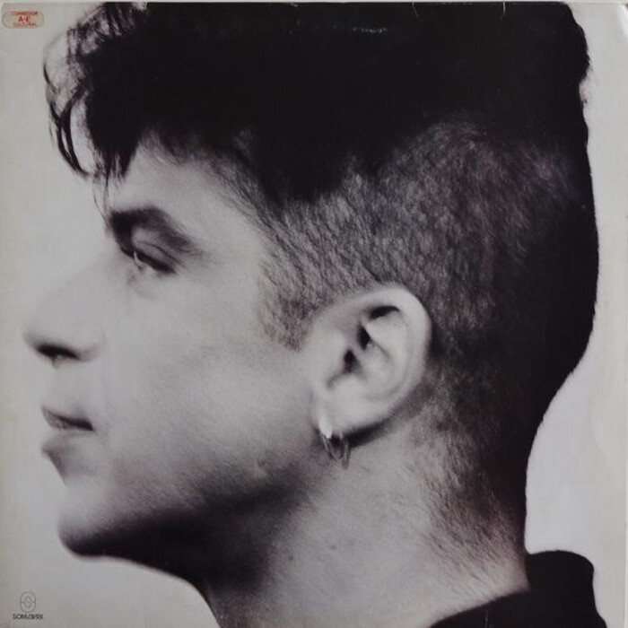 Lulu Santos — Minha Vida, capa do disco
