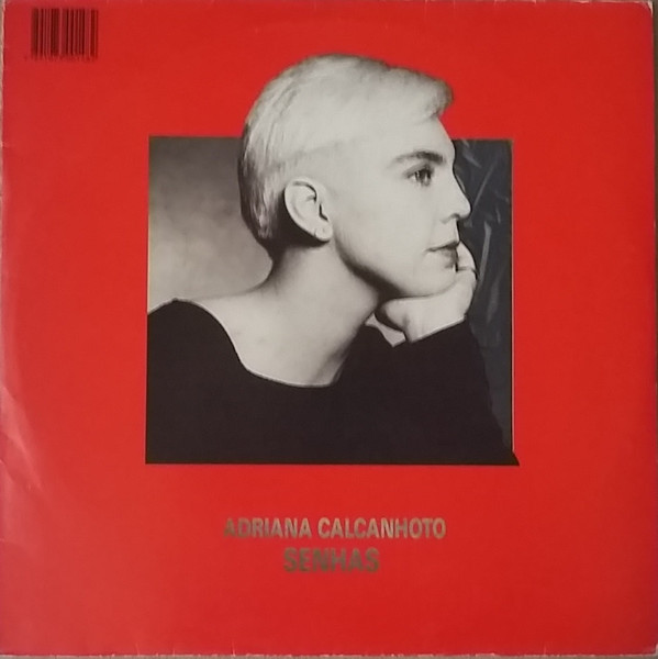 Adriana Calcanhotto — Senhas, capa do disco