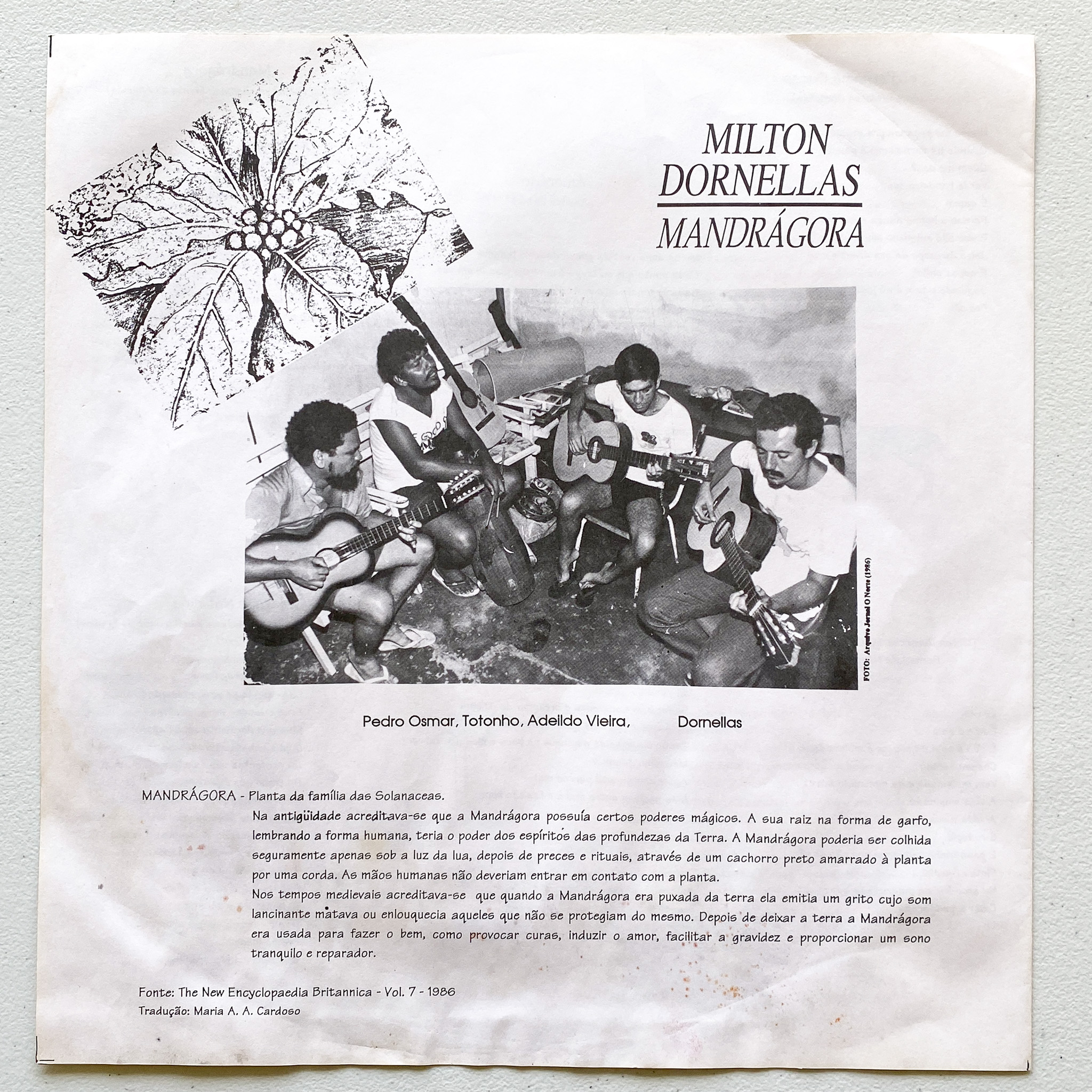 Milton Dornellas - Mandrágora (LP, Capa: VG+ Disco: VG+) - Imagem 3