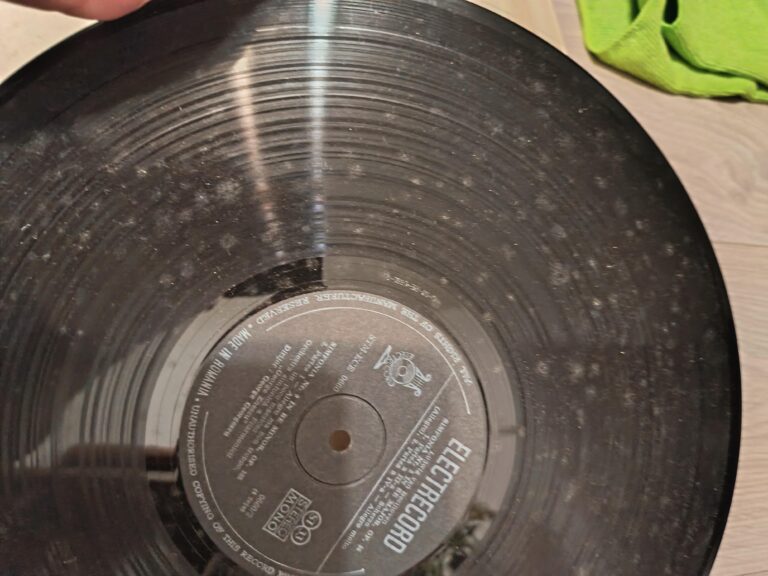 Disco de vinil usado com fungos: como identificar e salvar