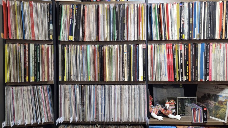 Como organizar sua coleção de discos sem enlouquecer